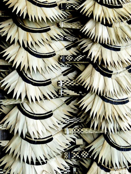Fans Fiji by Peter Peryer contemporary artwork Photography