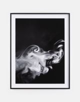 Inside over six hundred million possibilities 2 by Siobhan Hapaska contemporary artwork print
