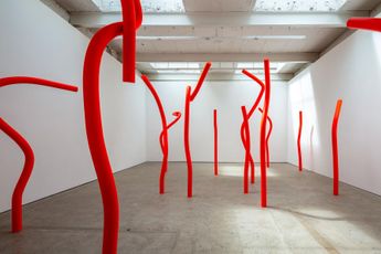 Contemporary art exhibition Mark Handforth A Scarlet Forest at The Modern Institute Airds Lane United Kingdom