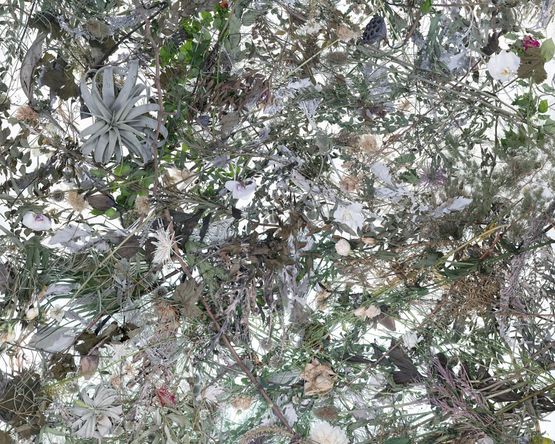 Metempsychosis 2022-1 by Ji Zhou contemporary artwork Photography