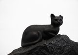A secret need for your existence by Robert Zhao Renhui contemporary artwork sculpture