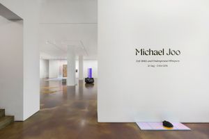 Michael Joo