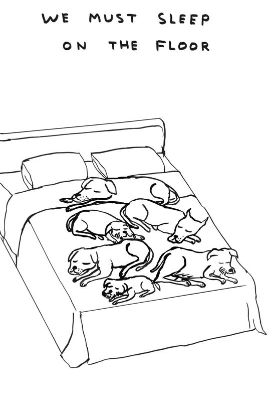 Untitled We Must Sleep on the Floor by David Shrigley contemporary artwork Works on Paper