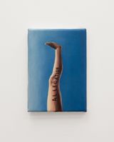 Allegation by Fiona Banner Aka The Vanity Press contemporary artwork painting