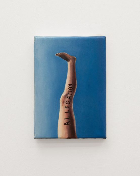 Allegation by Fiona Banner Aka The Vanity Press contemporary artwork Painting