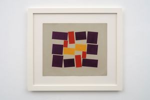 Helio Oiticica