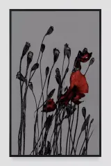Pragim-4 by Michal Rovner contemporary artwork photography