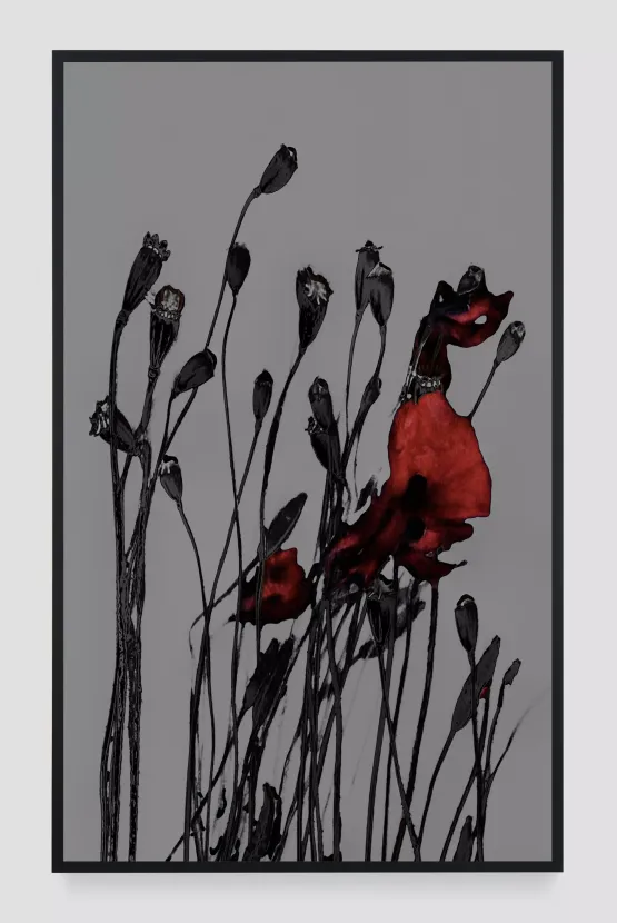 Pragim-4 by Michal Rovner contemporary artwork Photography