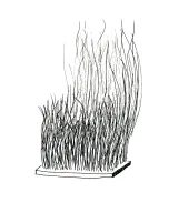 Broom by David Byrne contemporary artwork works on paper