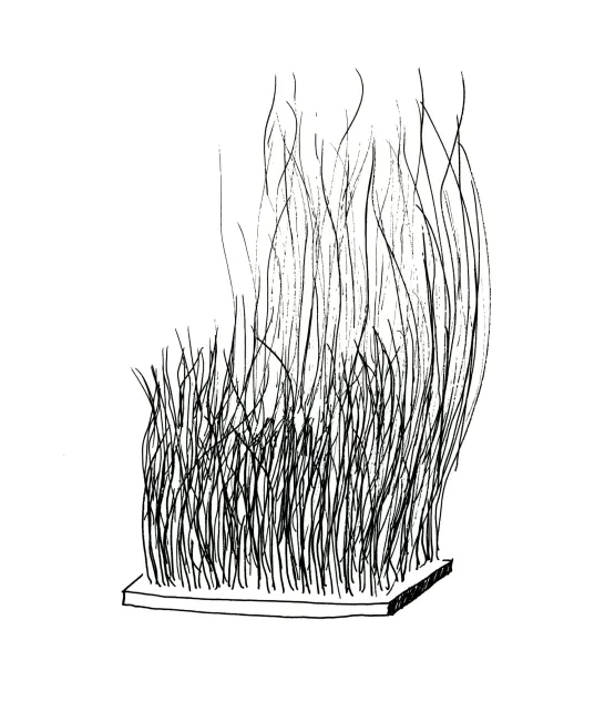 Broom by David Byrne contemporary artwork Works on Paper