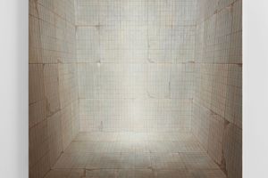 Cai Lei