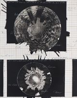 Untitled Emergence Drawing 3 by Jitish Kallat contemporary artwork mixed media