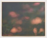 Lucid Dreams by Leila Spilman contemporary artwork photography