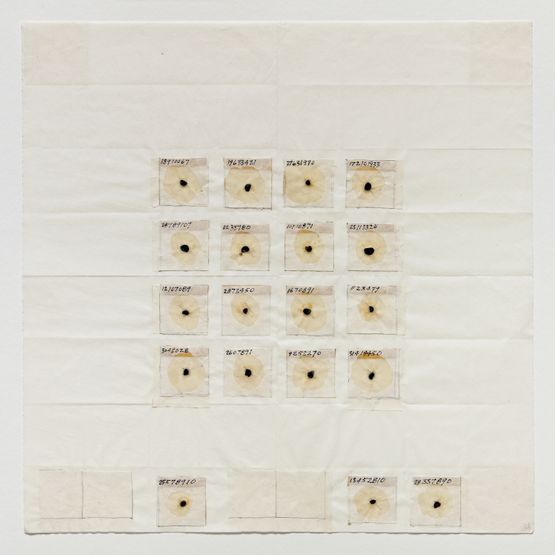 Roman Seed Calendar II by Michelle Stuart contemporary artwork Painting