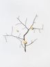 Branch with gold accents by Daniel Steegmann Mangrane contemporary artwork Sculpture