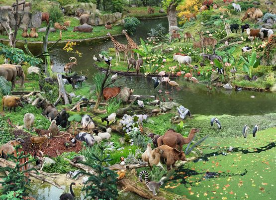 The Character Islands by Won Seoung Won contemporary artwork Photography