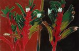 Kangaroo Paw 2 by Peter Cooley contemporary artwork painting