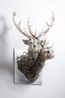 PixCell-Double Deer9 by Kohei Nawa contemporary artwork Mixed Media