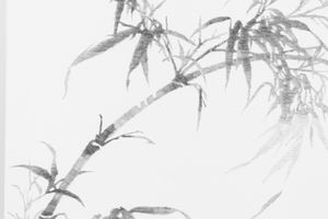 Shan Fan