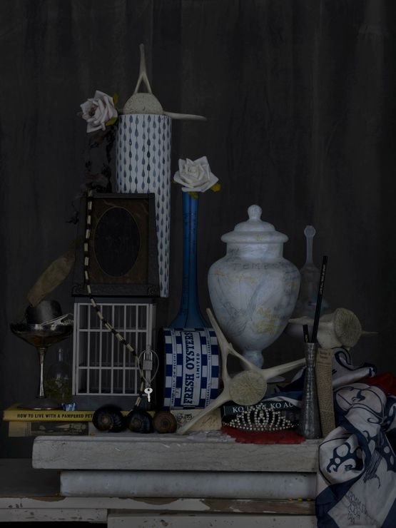 Temperance by Fiona Pardington contemporary artwork Works on Paper