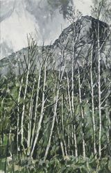 New Traveling Scenery of Mt. Xi - Mt. Plain Shoes by Xu Jiang contemporary artwork painting