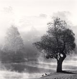Morning Mists Pyin U Lwin Myanmar by Michael Kenna contemporary artwork photography