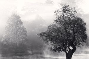 Michael Kenna
