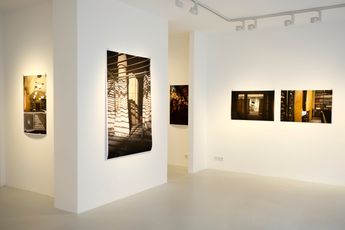 Contemporary art exhibition Laura J. Padgett Regenerating Permanence at GaleriePeterSillem Frankfurt Germany