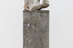 Amelia Toledo