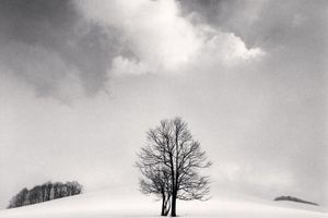Michael Kenna