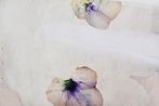 Antonio Murado contemporary artist