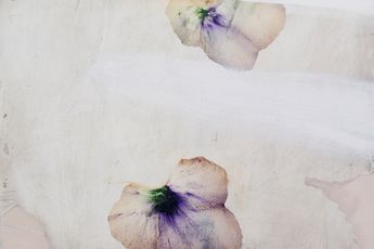 Antonio Murado contemporary artist