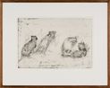 Lustful Bettongs Returning to Watikinpirri - Newhaven I by John Wolseley contemporary artwork Print