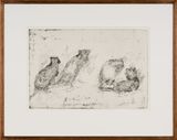 Lustful Bettongs Returning to Watikinpirri - Newhaven I by John Wolseley contemporary artwork print