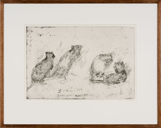 Lustful Bettongs Returning to Watikinpirri - Newhaven I by John Wolseley contemporary artwork Print