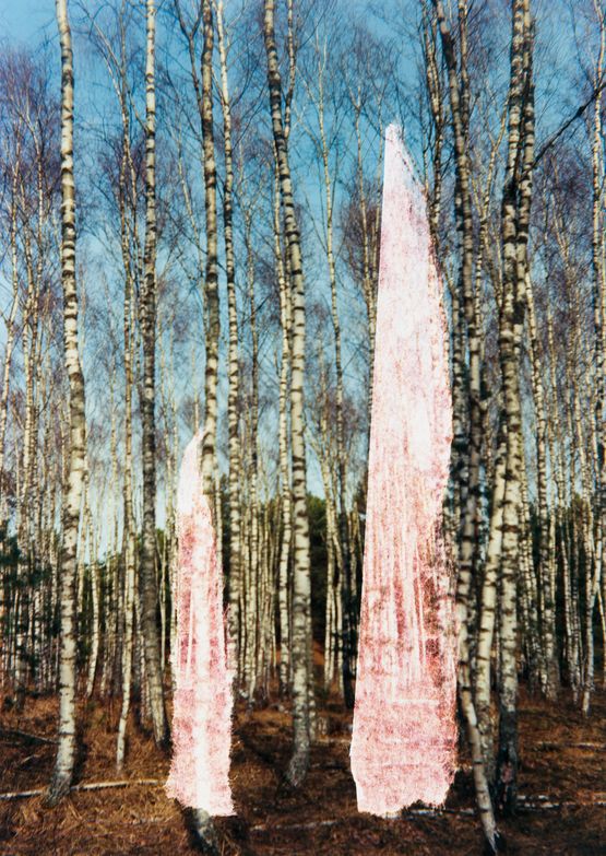 Erganzung by Frank Madler contemporary artwork Photography