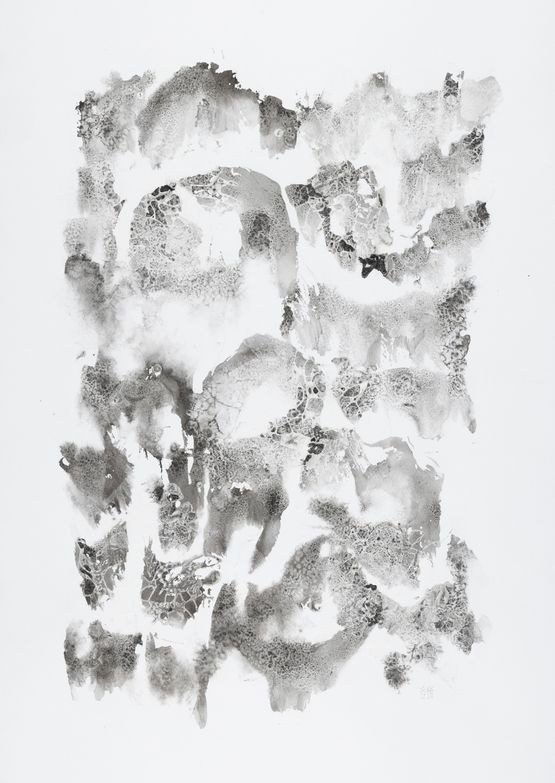 Lotus 10 by Chiang Yomei contemporary artwork Works on Paper