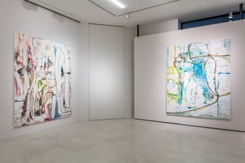 Contemporary art exhibition Gregor Gleiwitz Monstera - Im sitting on the edge of my eye at SETAREH Dusseldorf Germany