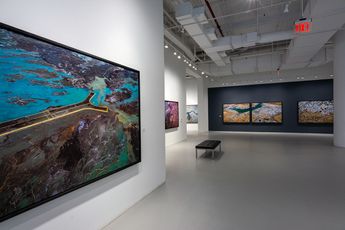 Contemporary art exhibition Edward Burtynsky African Studies at Sundaram Tagore Gallery New York New York United States