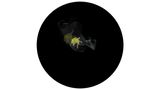 Uplift by Julie Rrap contemporary artwork moving image