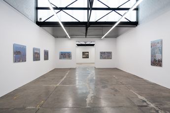 Contemporary art exhibition Petra Cortright haunted lemon hunted spirit at 1301SW Melbourne Australia