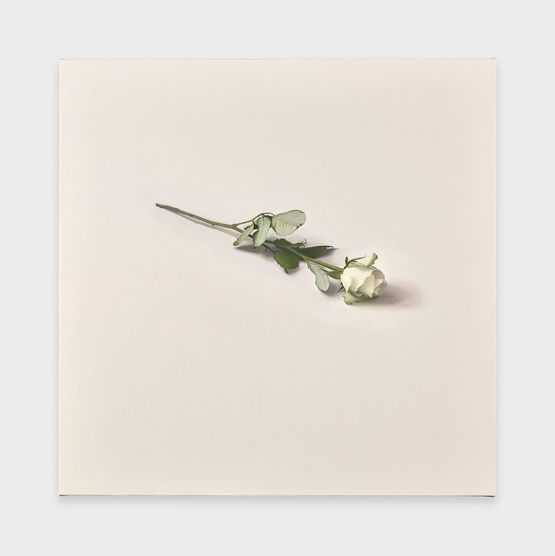 Plain by Alison Watt contemporary artwork Painting
