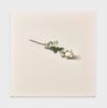 Plain by Alison Watt contemporary artwork Painting