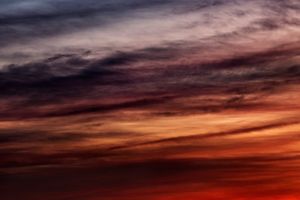 Trevor Paglen
