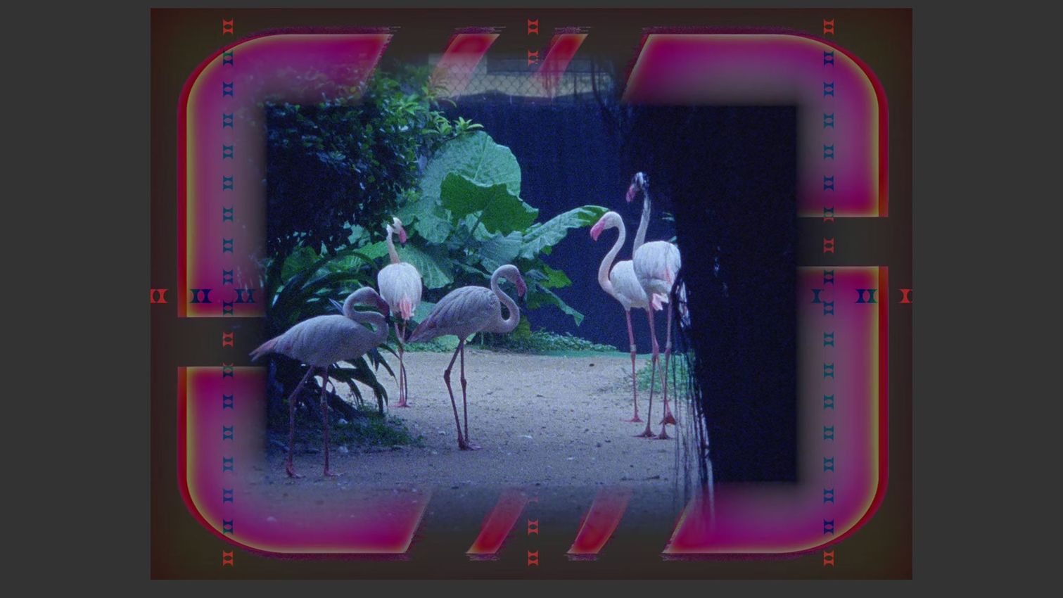 Group Exhibition