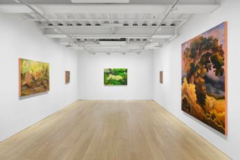 Contemporary art exhibition Georg Wilson The Last Oozings at Pilar Corrias Conduit Street United Kingdom