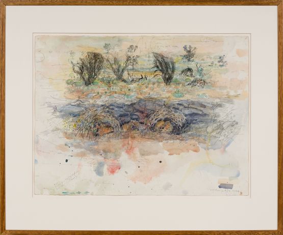 Burrowing Bettongs by their Burrows - Newhaven NT by John Wolseley contemporary artwork Works on Paper