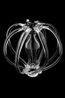 CRONOS by Ritsue Mishima contemporary artwork Sculpture