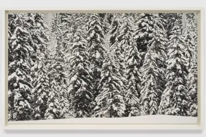 Robert Longo