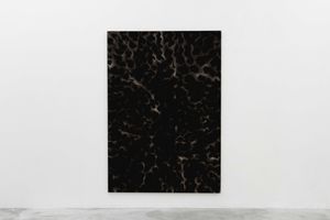 Leonardo Anker Vandal